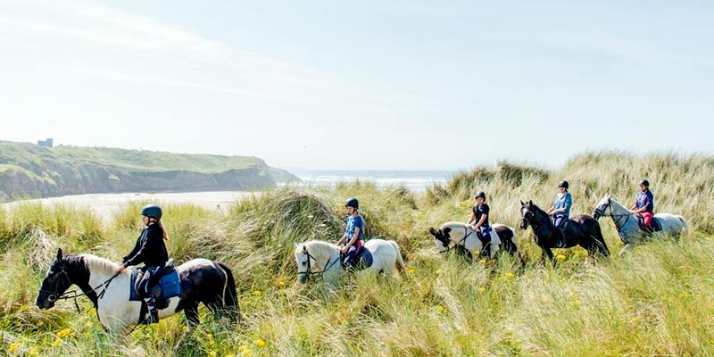 Cursos de inglés para jóvenes con equitación en Irlanda