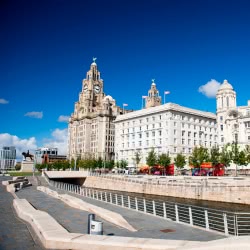 Liverpool_Landmarks_Liver-Building_Shutterstock-4-250x250